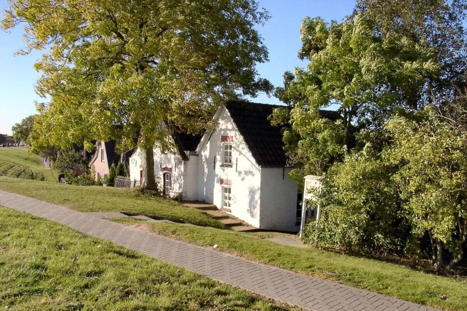 47531-Areas within 5km in summer