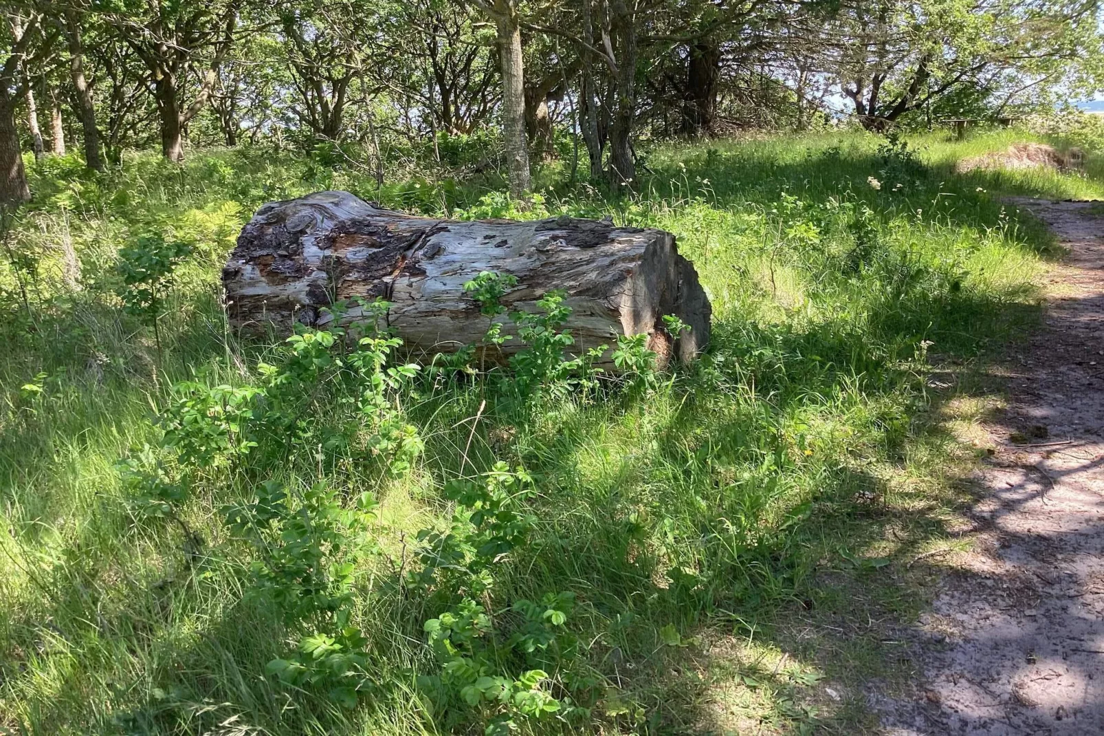 6 Personen Ferienhaus in Hals-Nicht zugeordnet