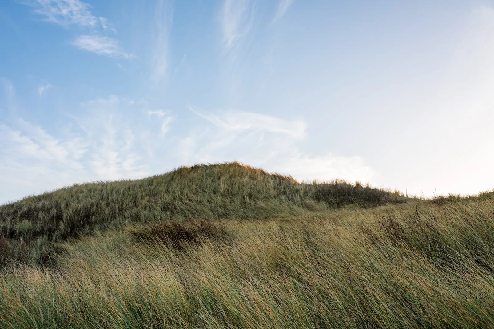 Loft Loopuyt-Ambiance