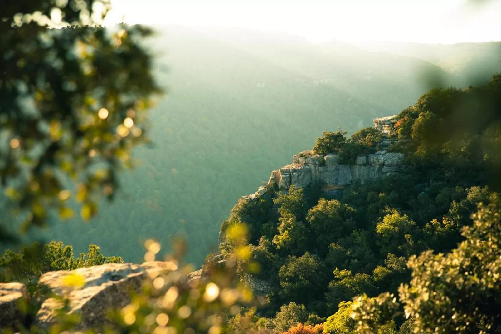 Mas de l'Arlequi - Areas within 1km in summer
