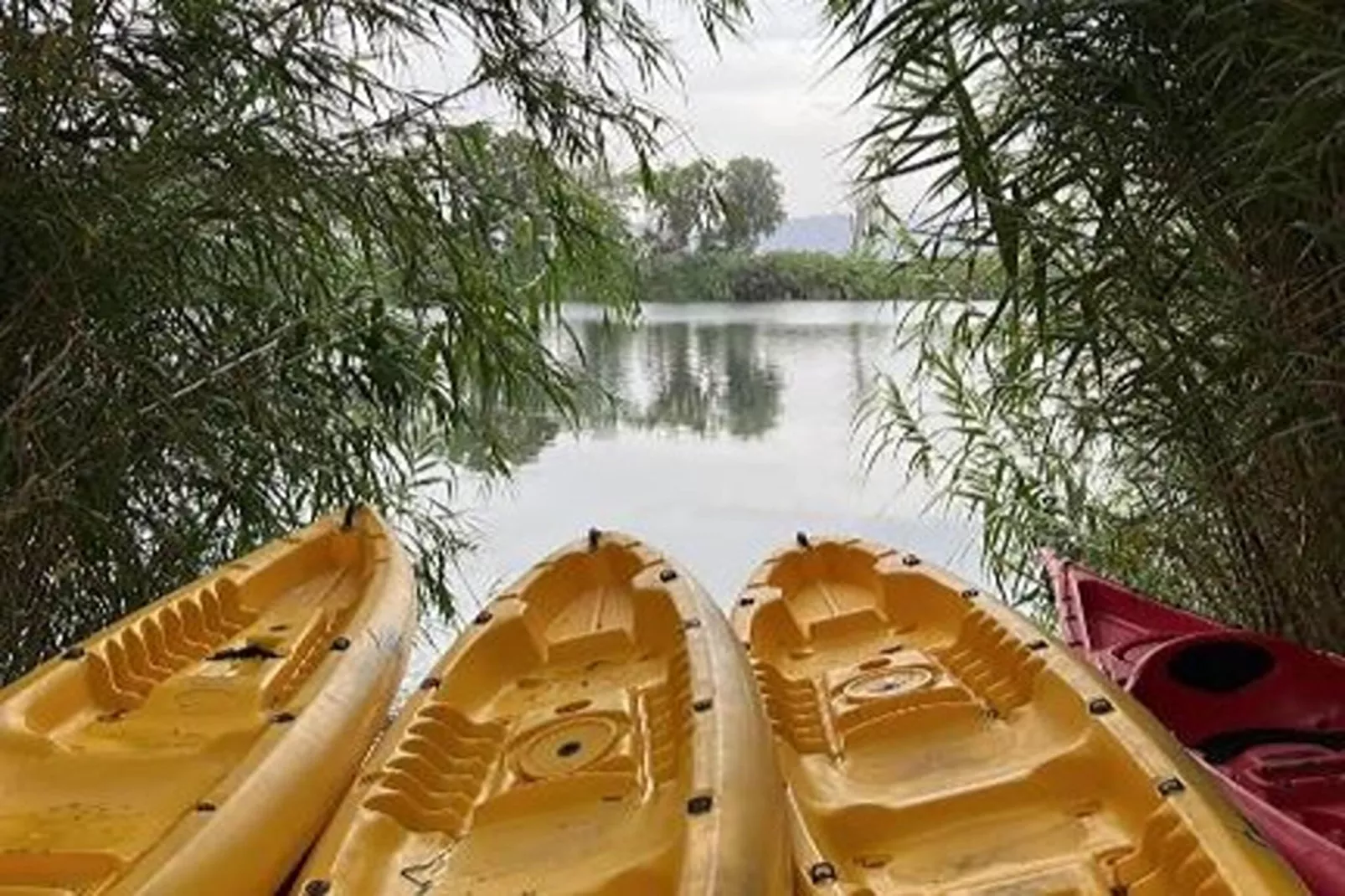 Mas Midó-Ausstattung