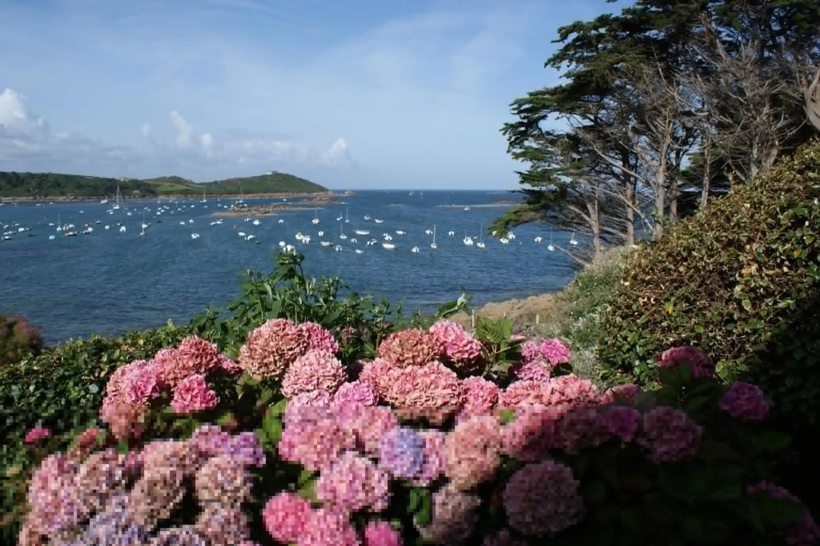 Maison de ville avec terrasse/jardin Guerlesquin-Gebiete Sommer 20 km