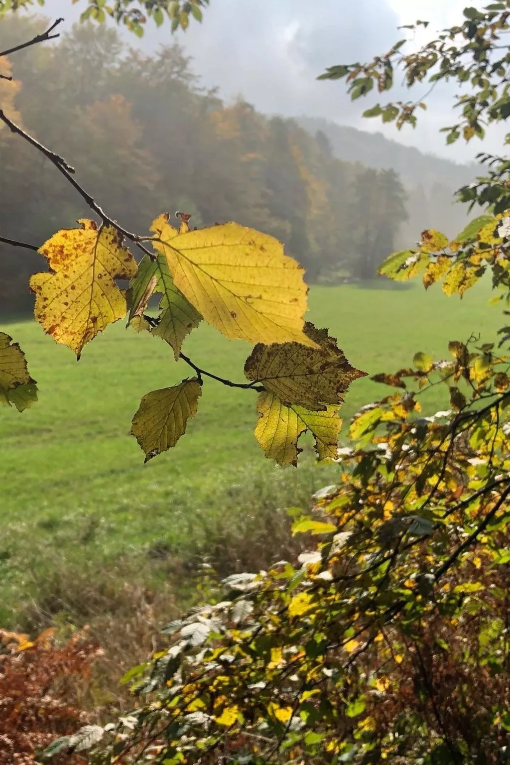 Gartenblick - Image-tags.info