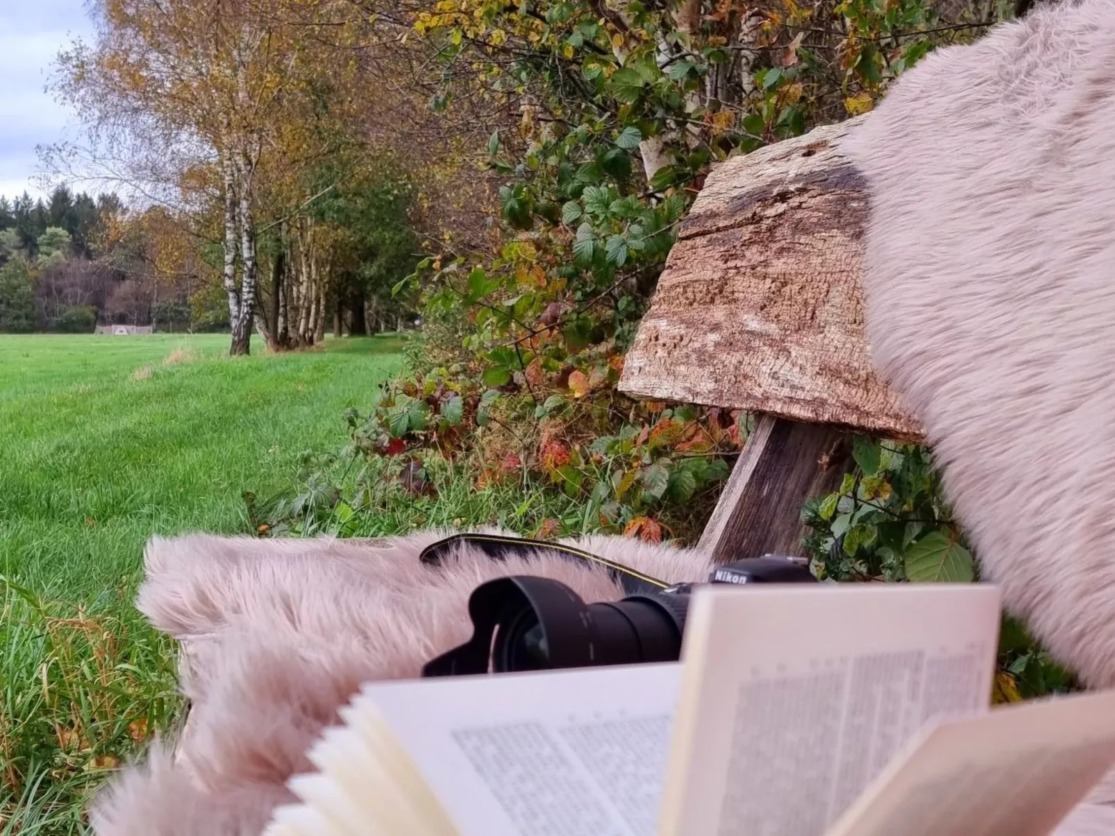 Luxuszeit zu Zweit - Image-tags.info