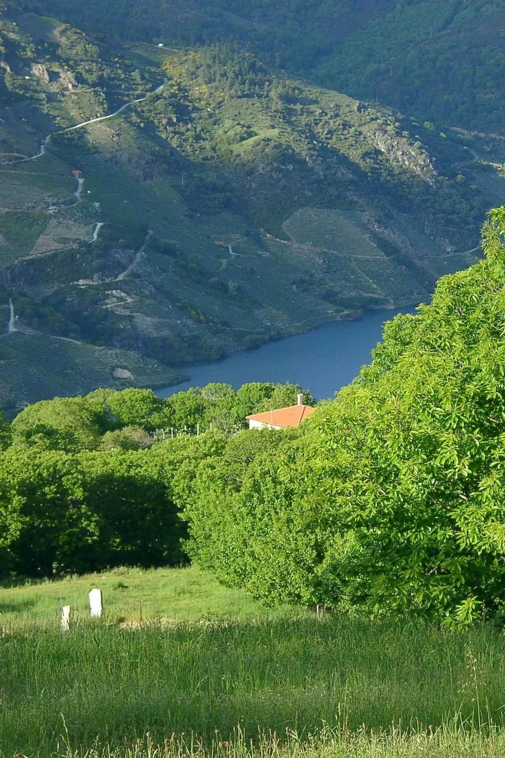 Mit Privatpool - Image-tags.info