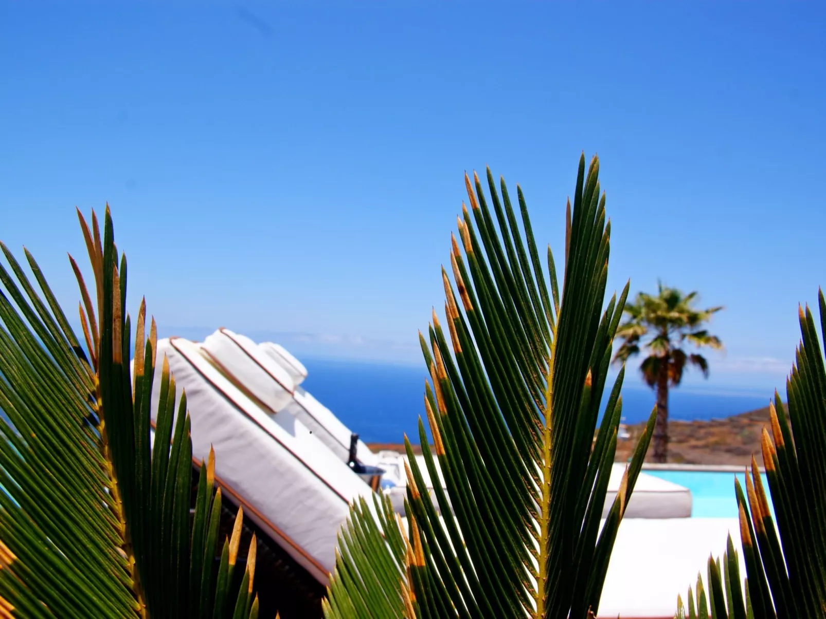 Moderne Architekten-Villa mit Infinity-Pool und Meerblick - Image-tags.info