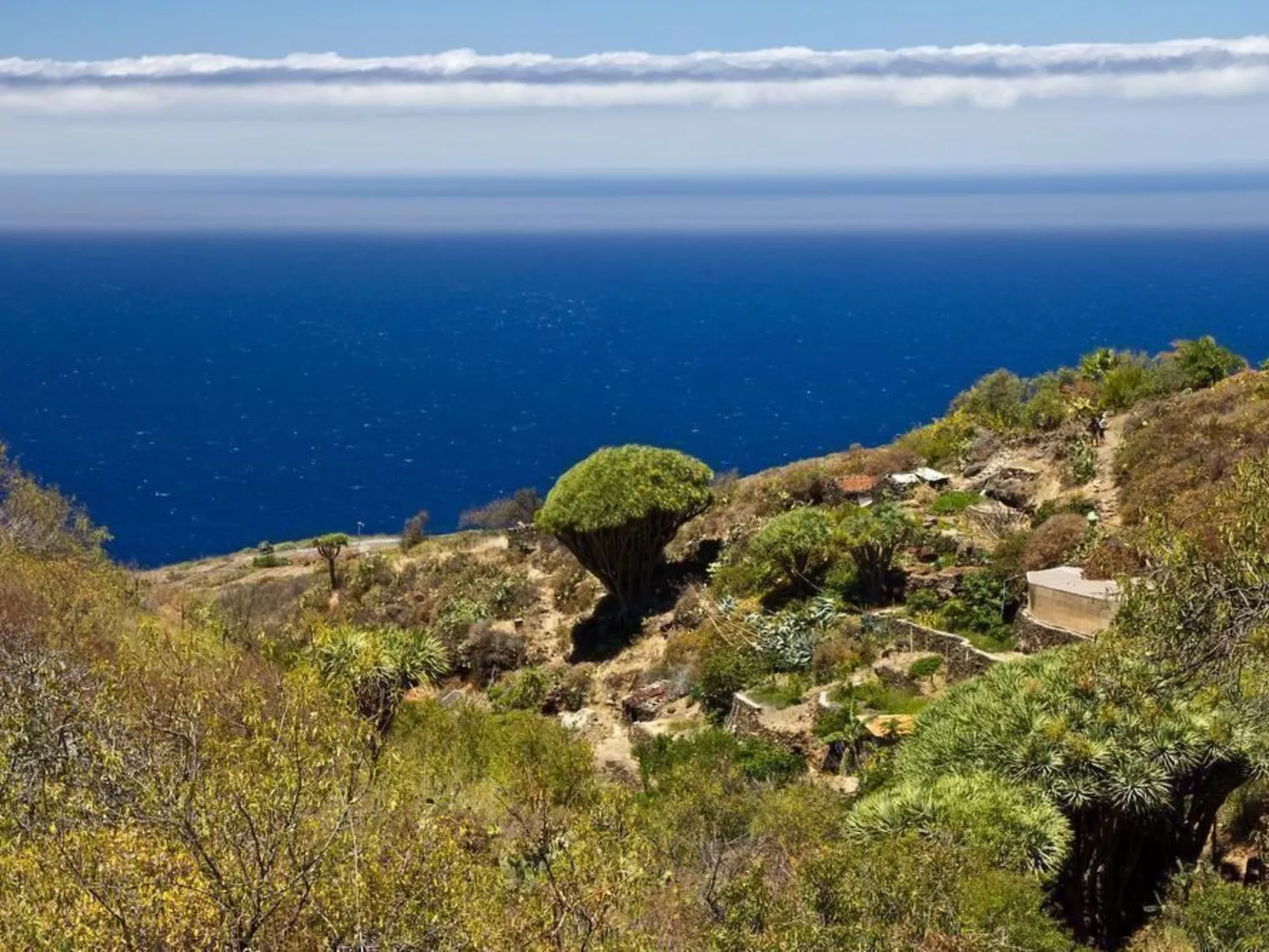 Villa Atlantico - Image-tags.info