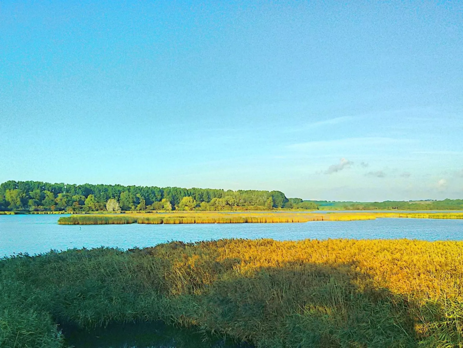 Lisa - Image-tags.info