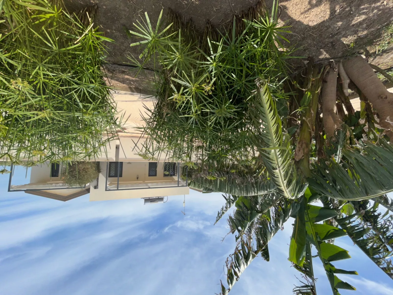 Il Gelso e l'Ulivo Wohnung mit Schwimmbad - Image-tags.info