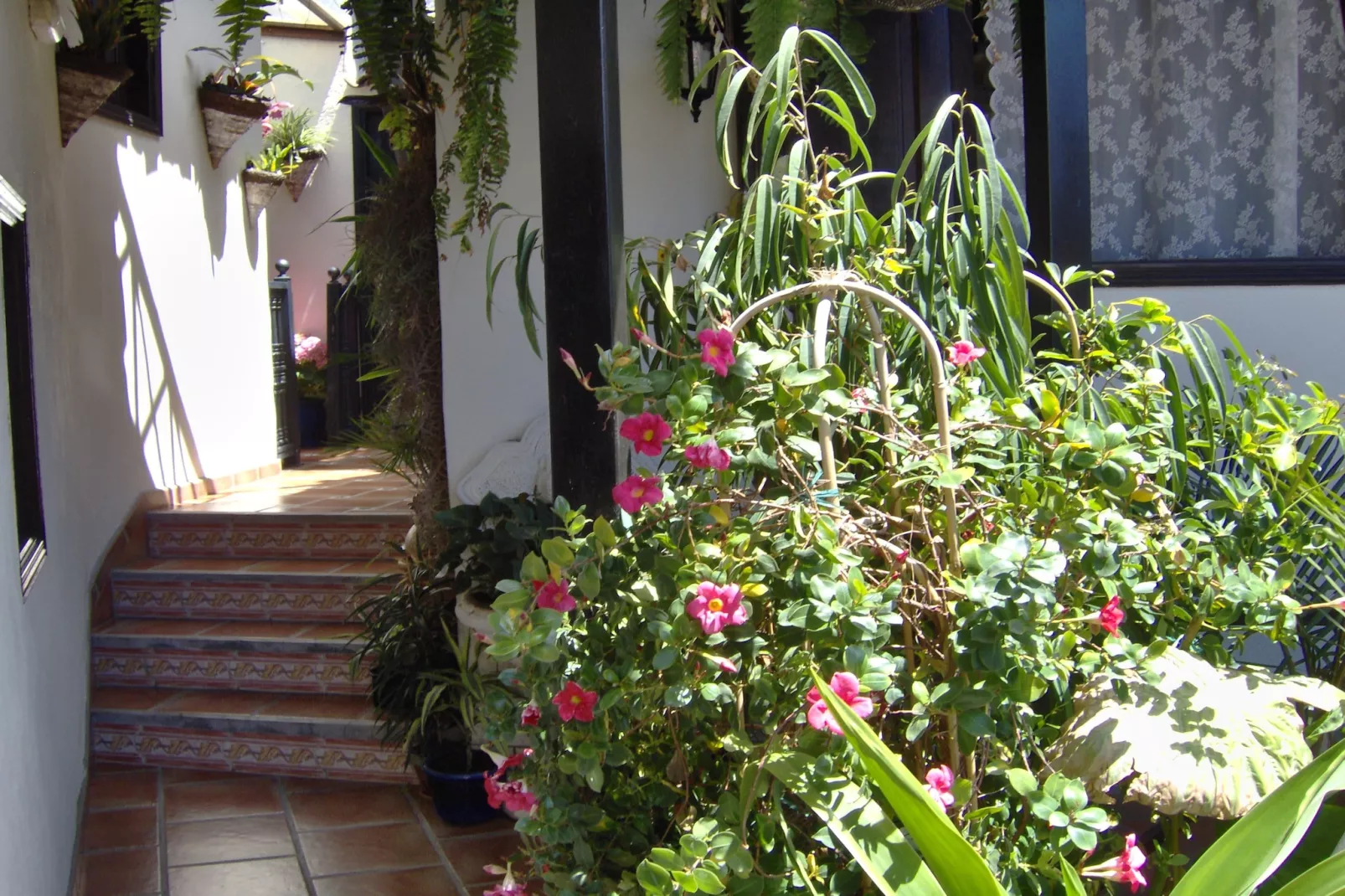 Apartamentos Monasterio de San Antonio 1 - Ambiance