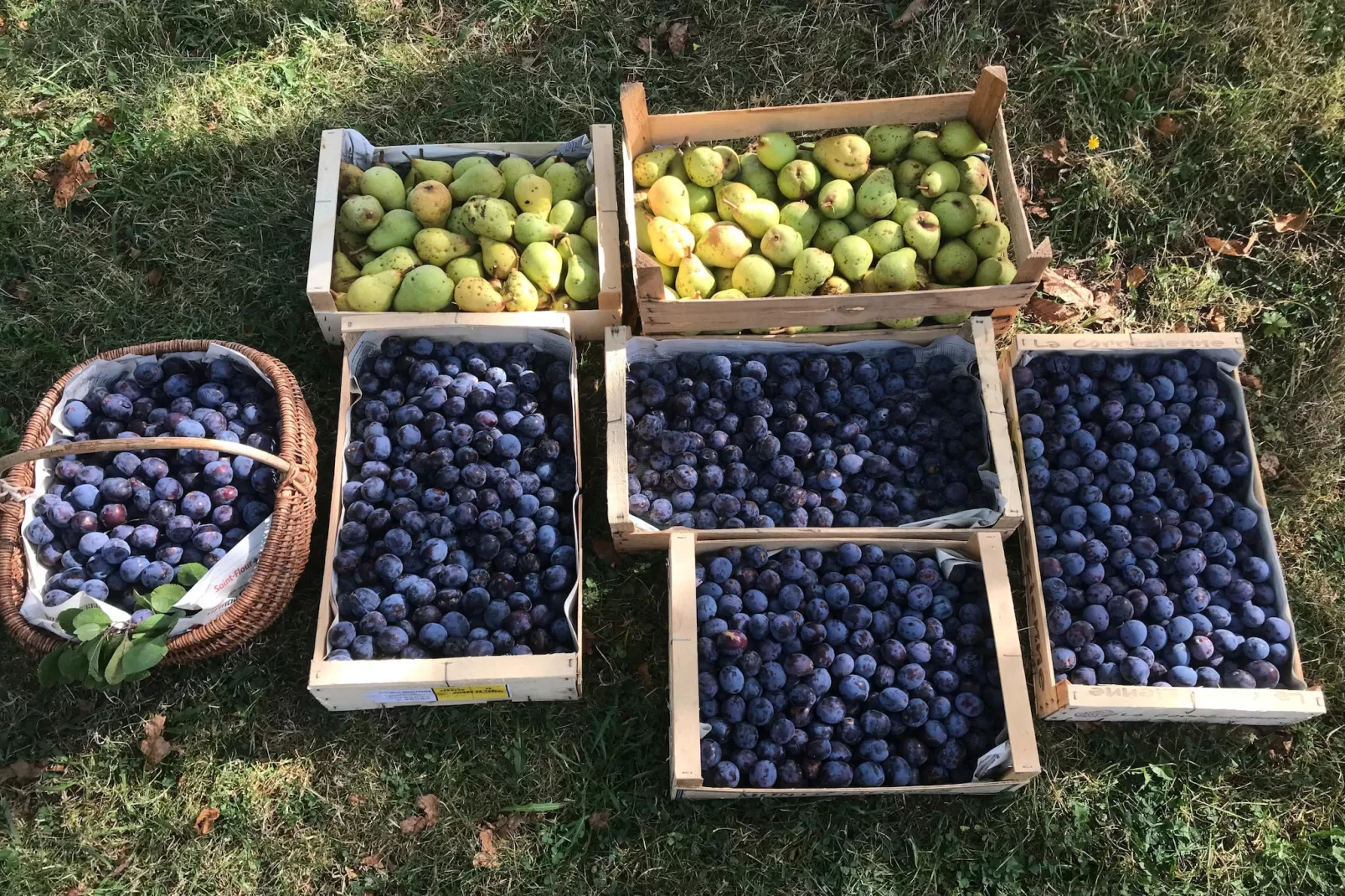 The Grange - Ambiance