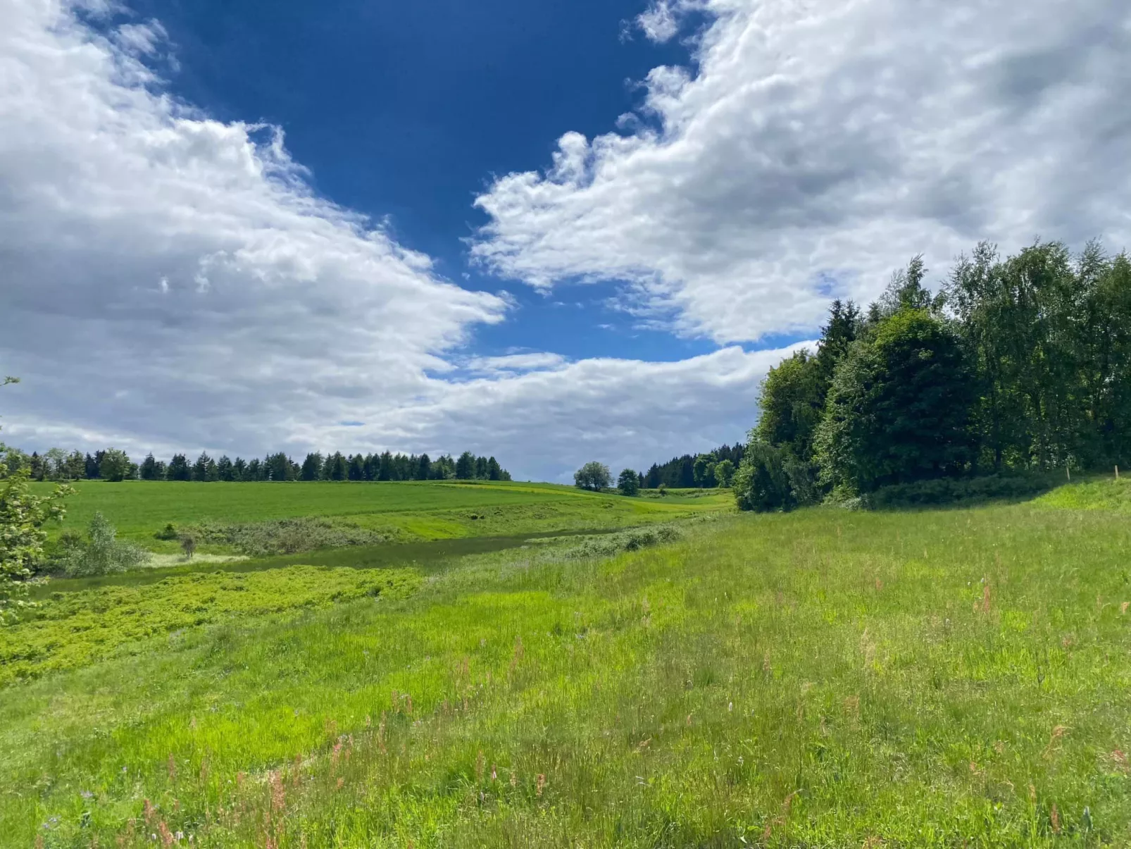Frankenwald Lodge - Draußen