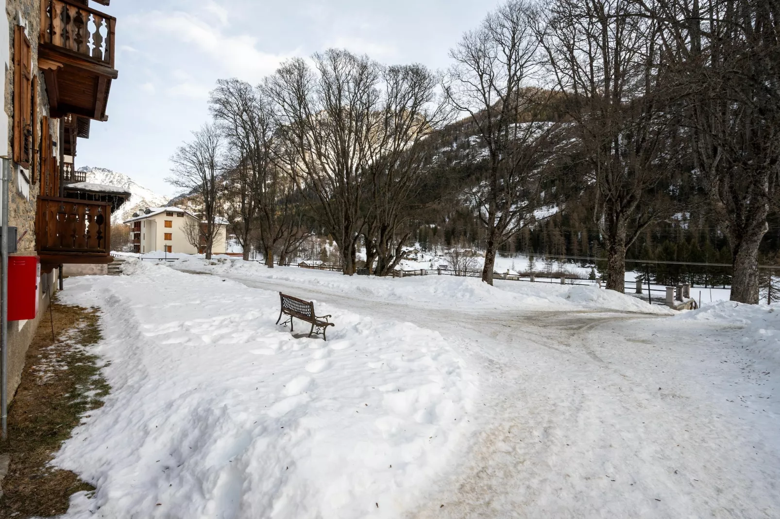 TRILO 1 CERESOLE-Area within 1km in winter