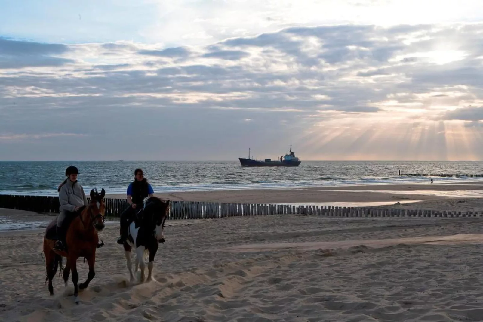Slaapstrandhuisje - Strand dishoek 67  Dishoek-Zones été à 20 km