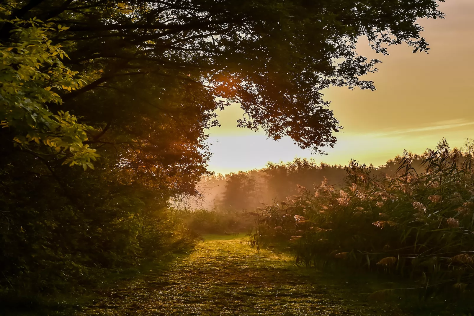 Vakantiepark Mölke 16 - Areas within 5km in summer