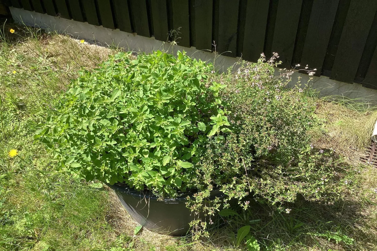 6 Personen Ferienhaus in Hals-Nicht zugeordnet