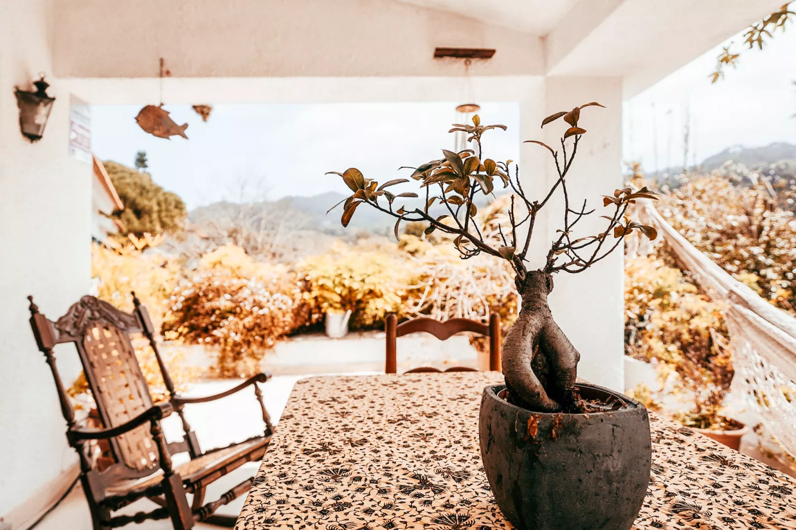 Casa da Rampa By Gt House-Terrasse