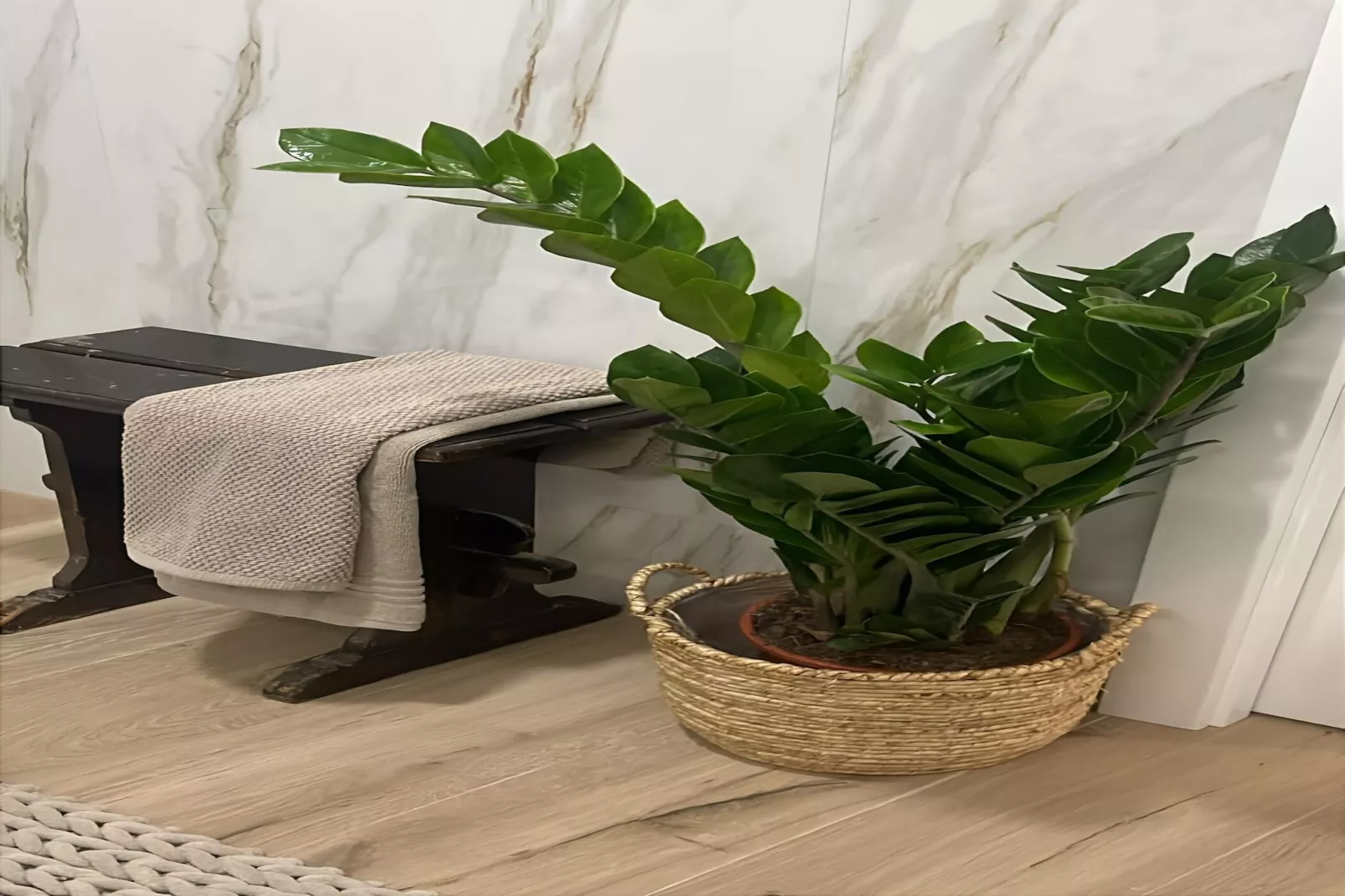 Golegã Boutique Apartment By Gt House - Ambiance