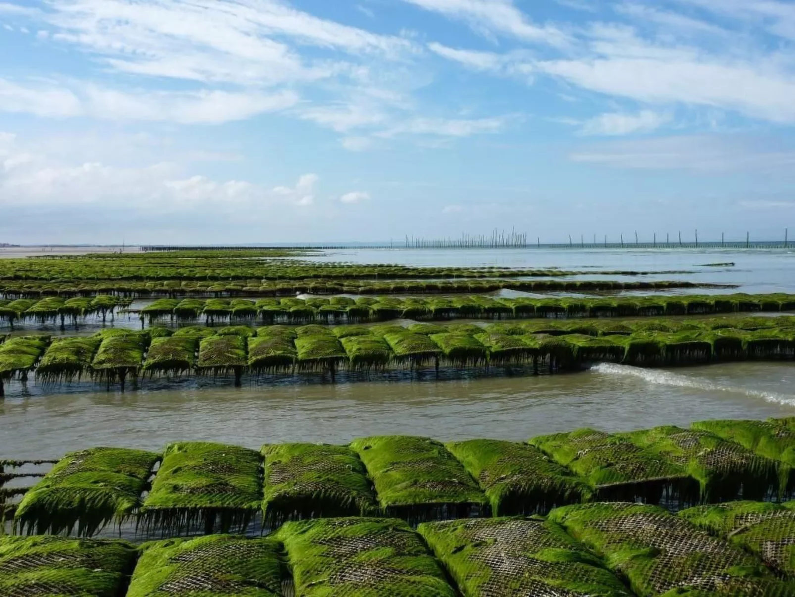 "Garence" mit eigener Terrasse-Image-tags.info