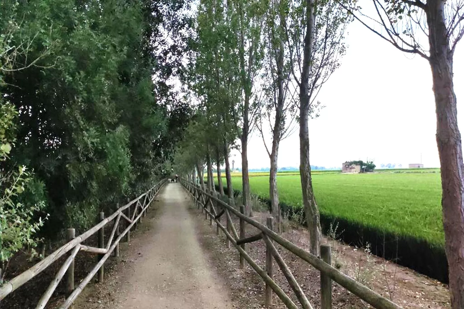 Mas Midó-Gebiete Sommer 1 km