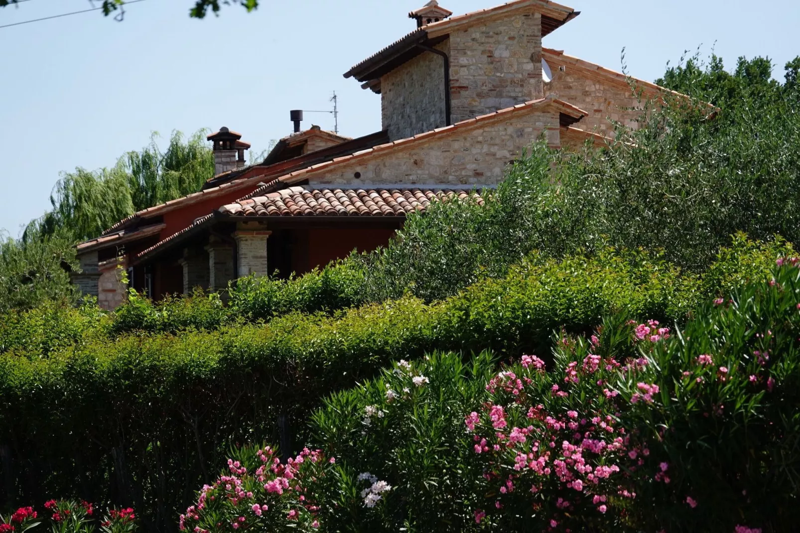 Villa Due Olive-Exterior in summer