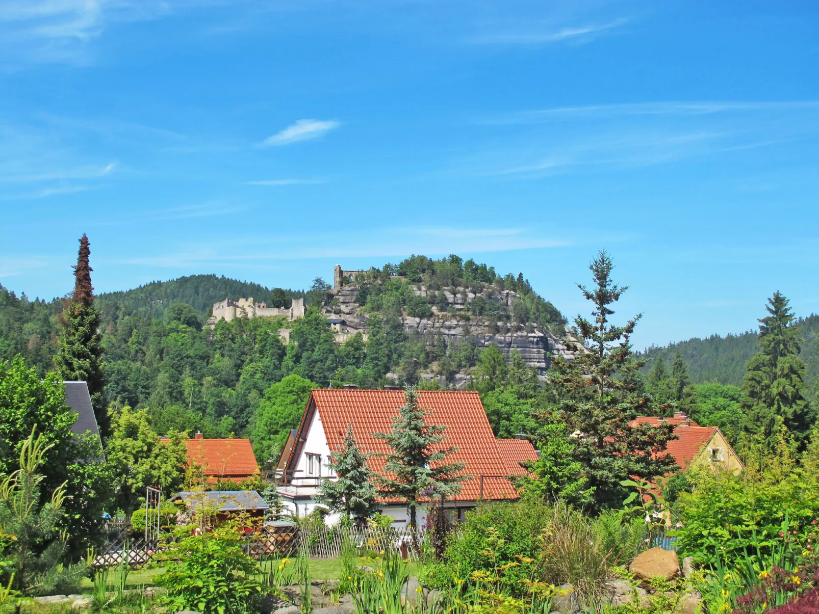Waldferienhaus Dunja mit Sauna, Whirlpool, direkt am Waldrand, Kletterfelsen - Umgebung