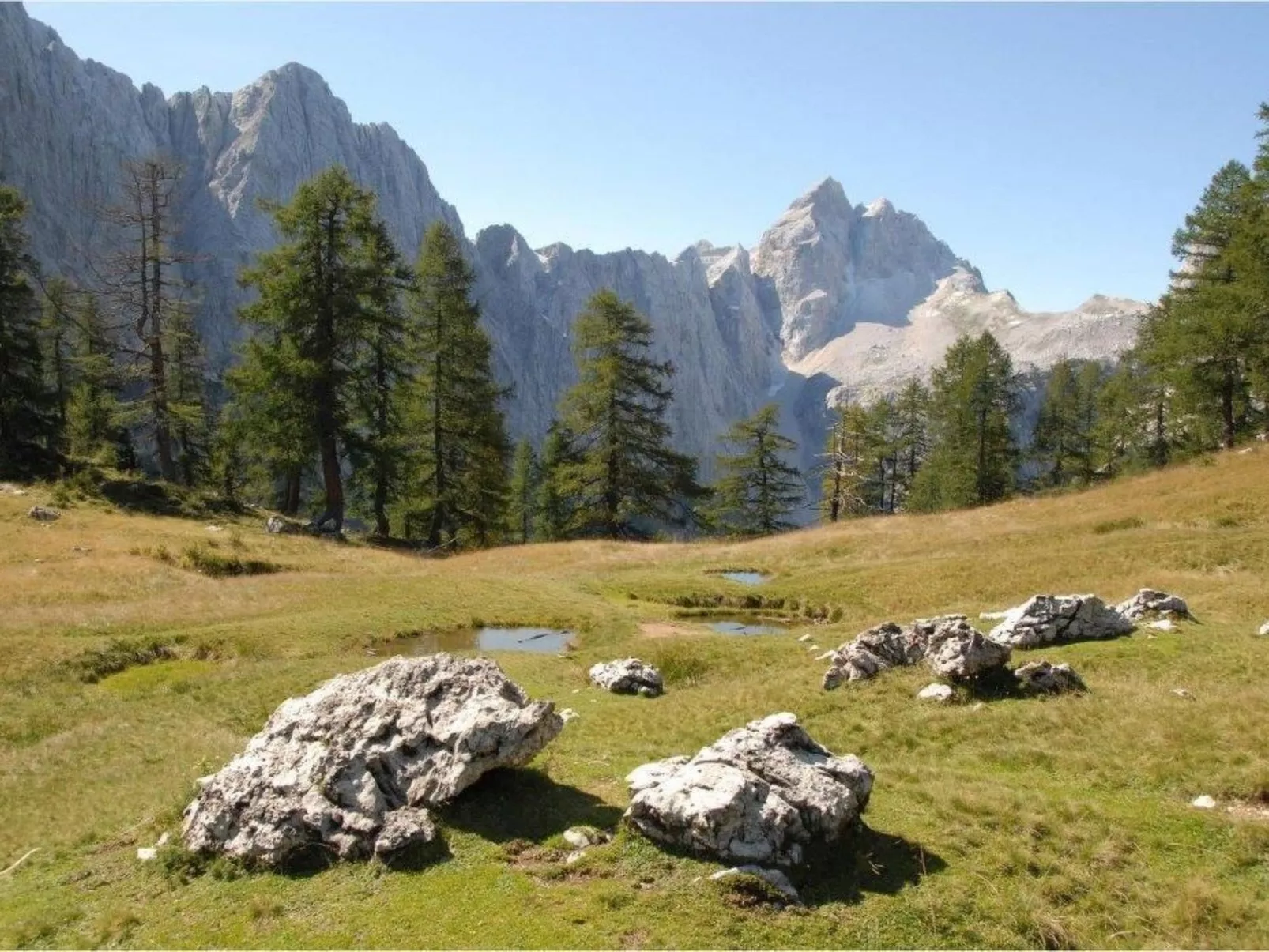 Mit Balkon - Image-tags.info