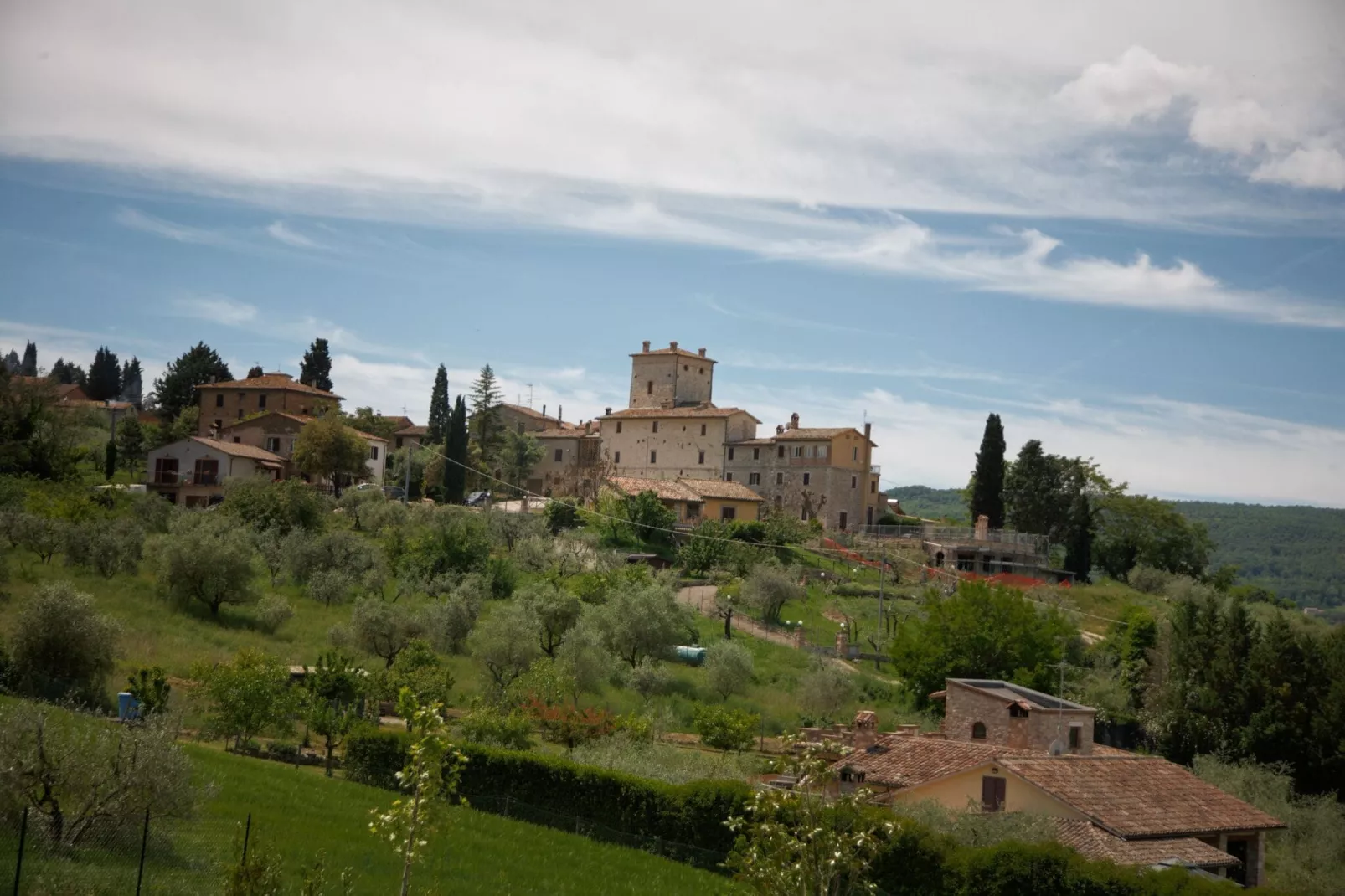 Villa Due Olive-Areas within 1km in summer