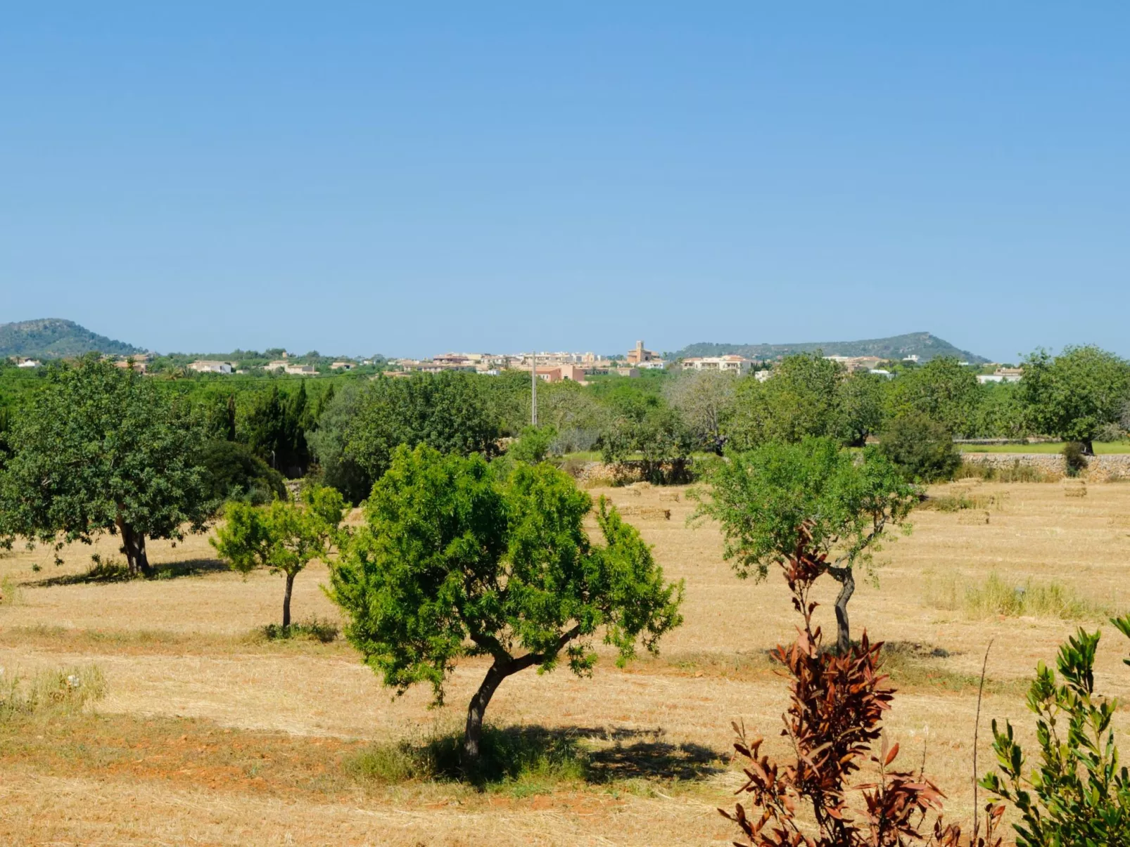 Cullera - Dehors