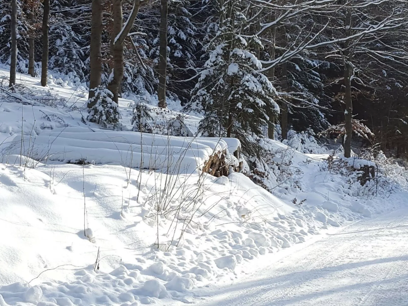 Komfortwohnung - Image-tags.info