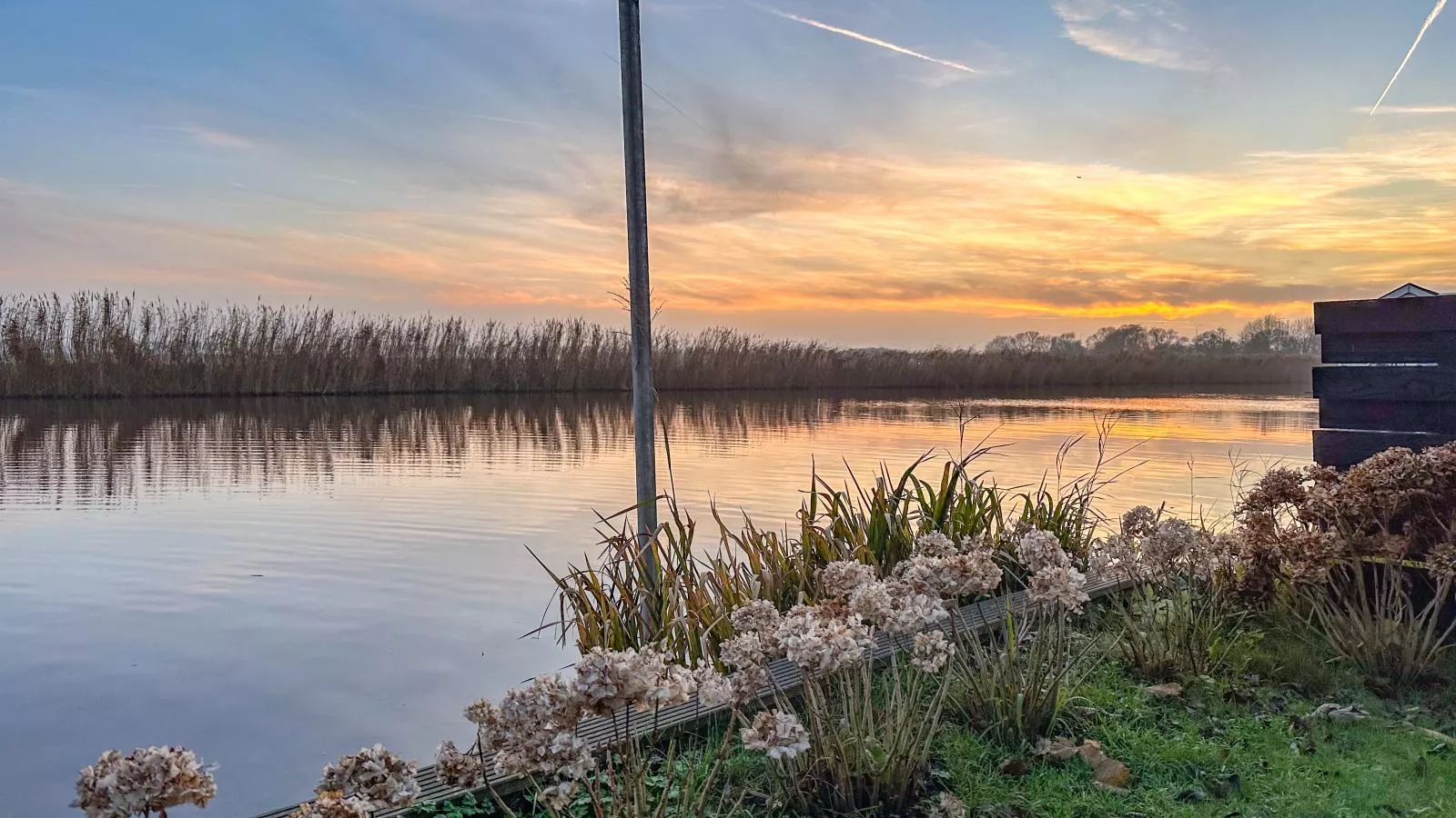 Beets View - Vue d'été