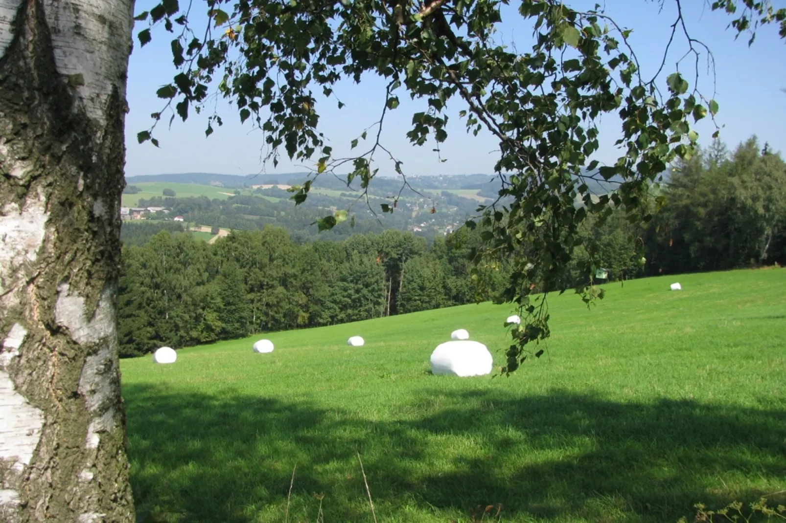 Chalet Nisou-Zones été à 5 km