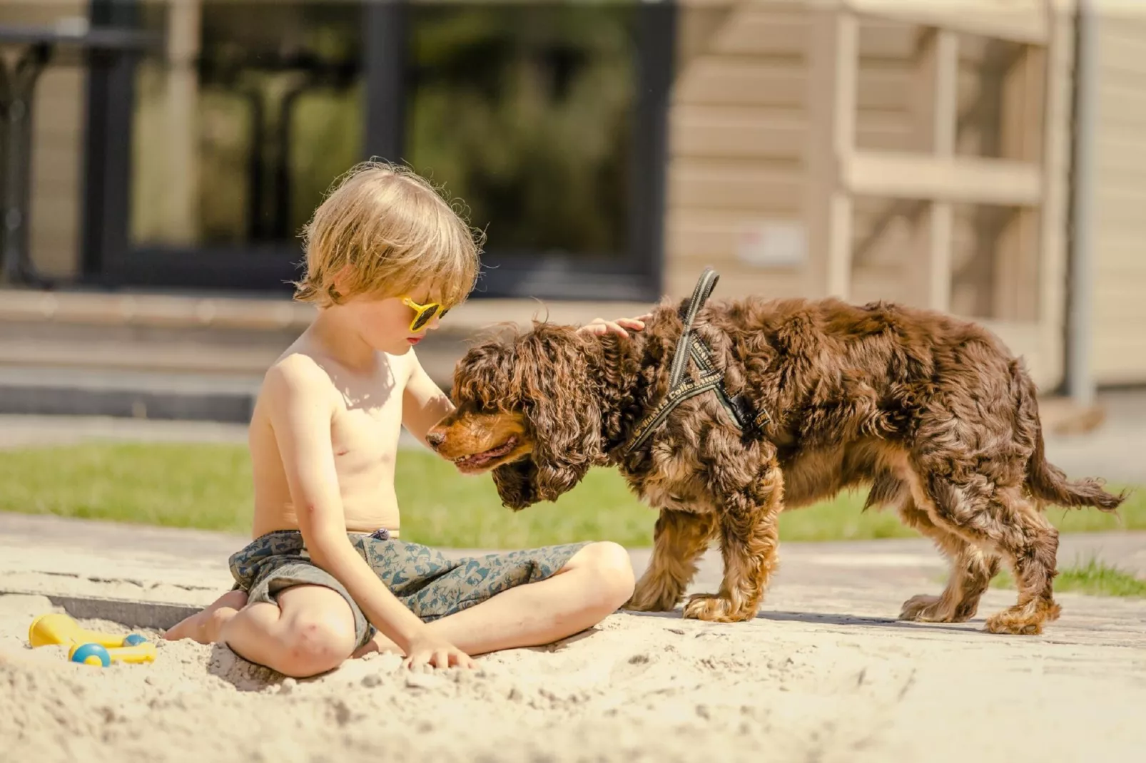 Vakantiepark Mölke 16 - Ambiance