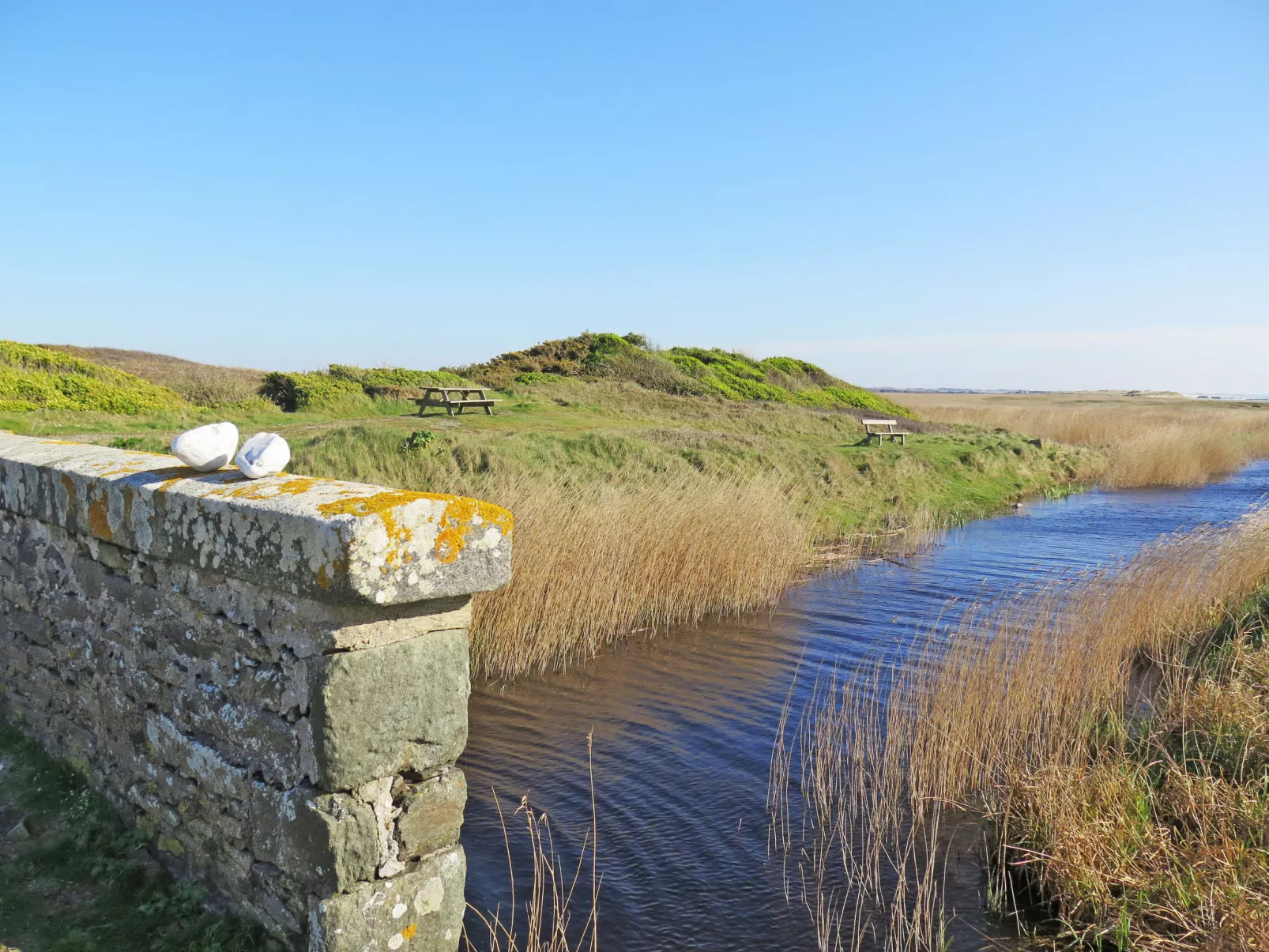 Les Volets Rouges - Umgebung