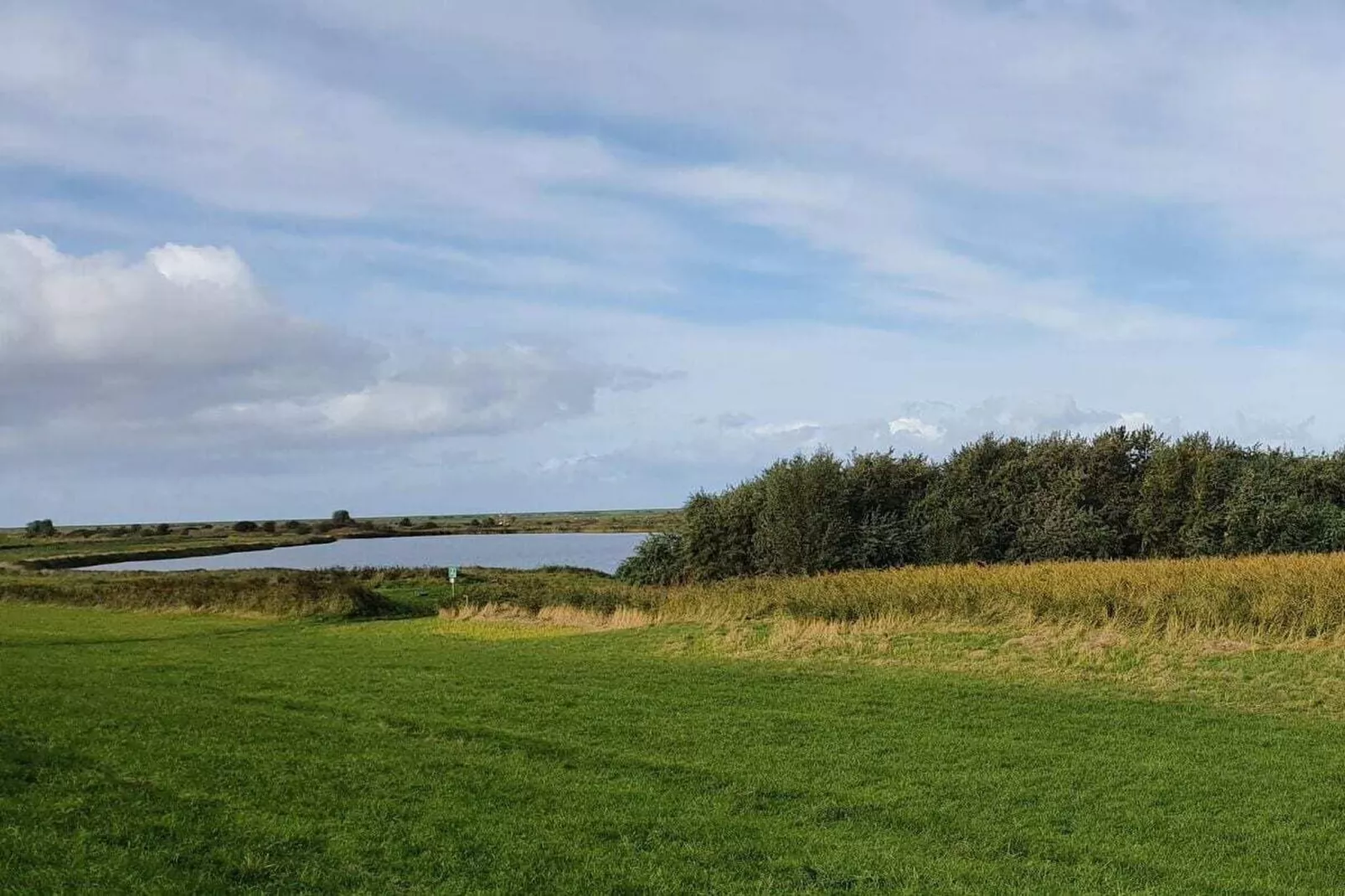 410843-Areas within 5km in summer