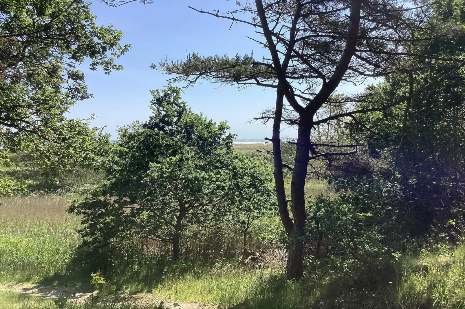 6 Personen Ferienhaus in Hals-Nicht zugeordnet