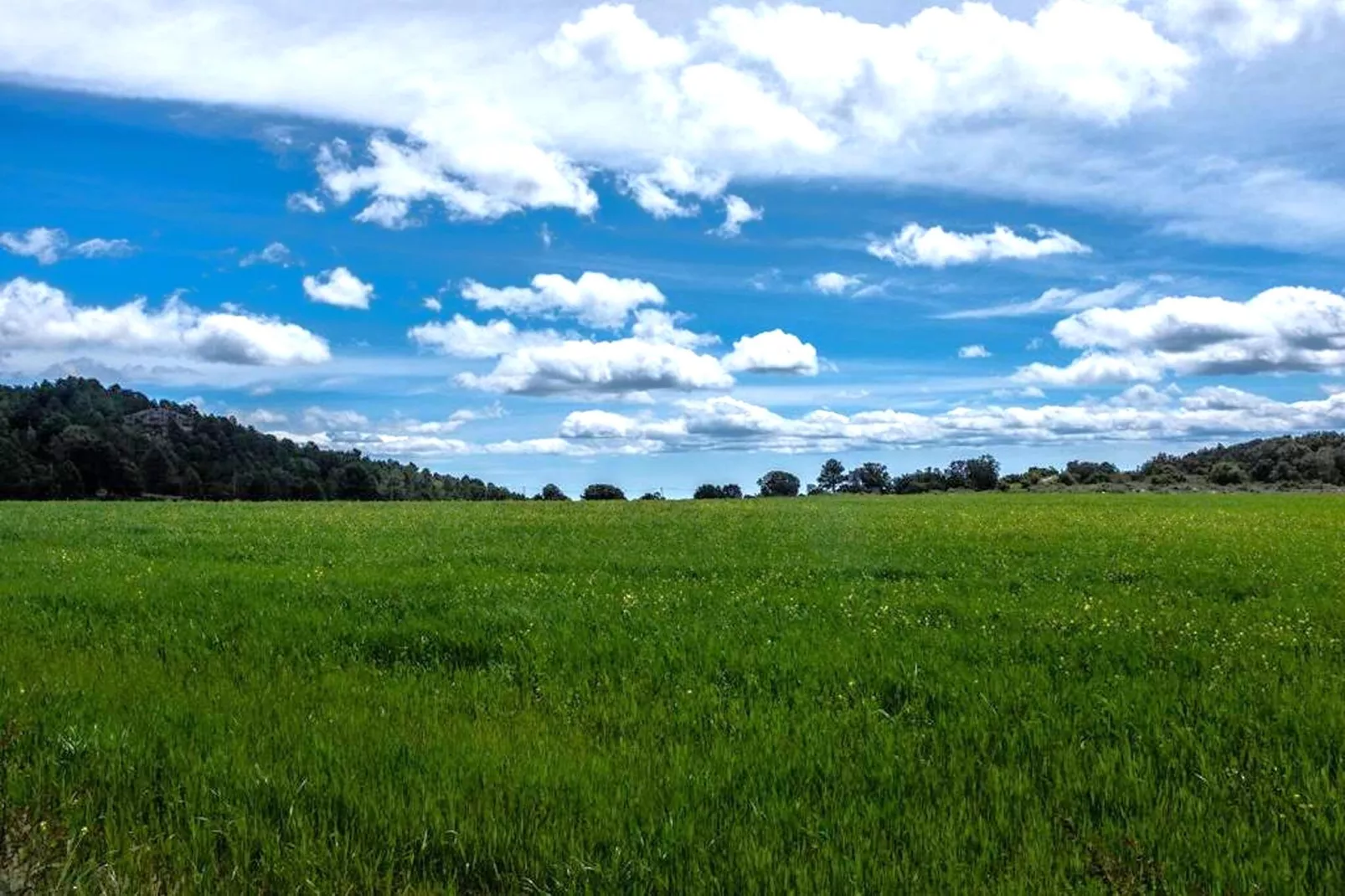Mas de l'Arlequi - Areas within 20km in summer