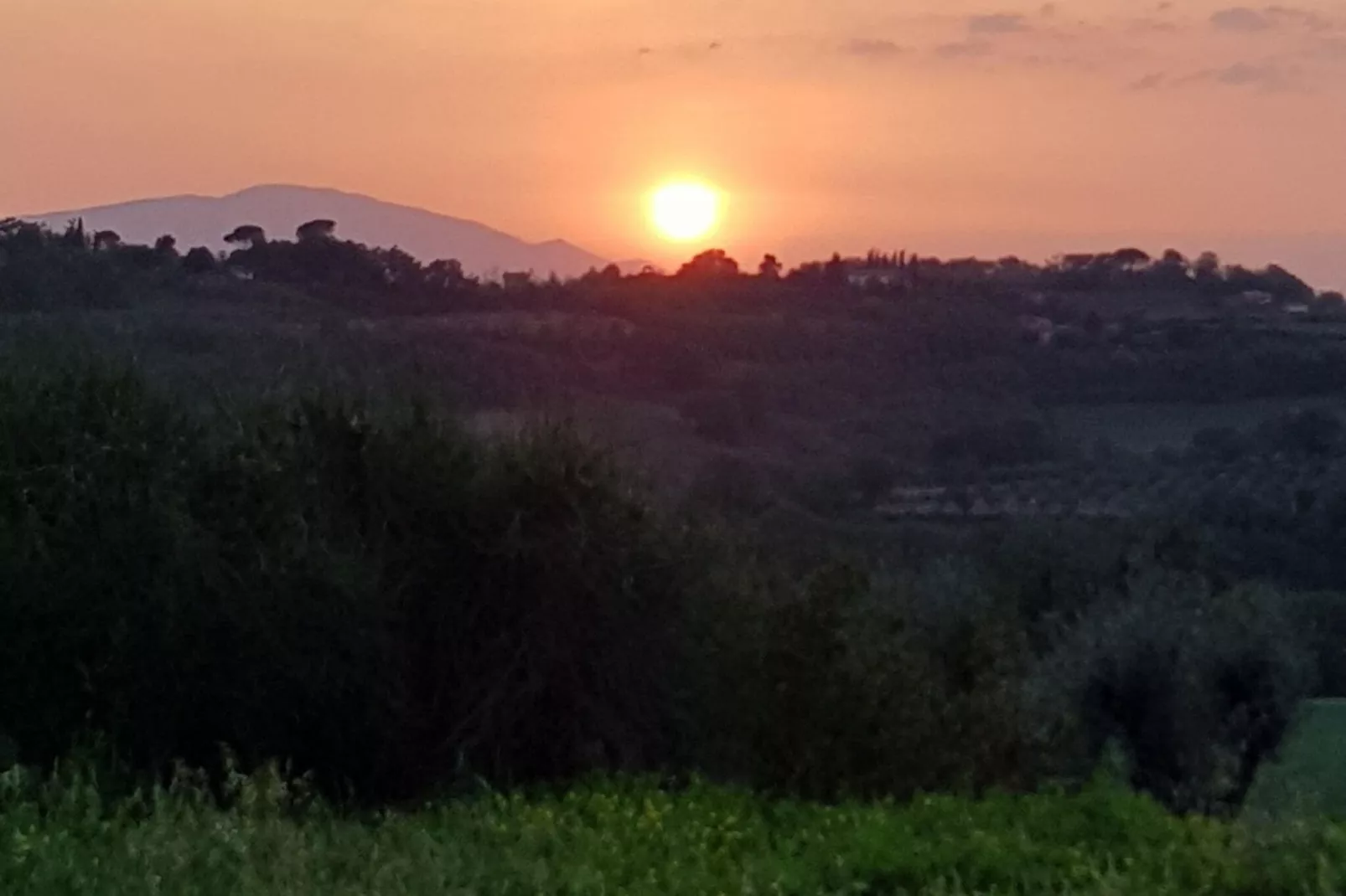 Villa Roma Sabina-Aussicht Sommer
