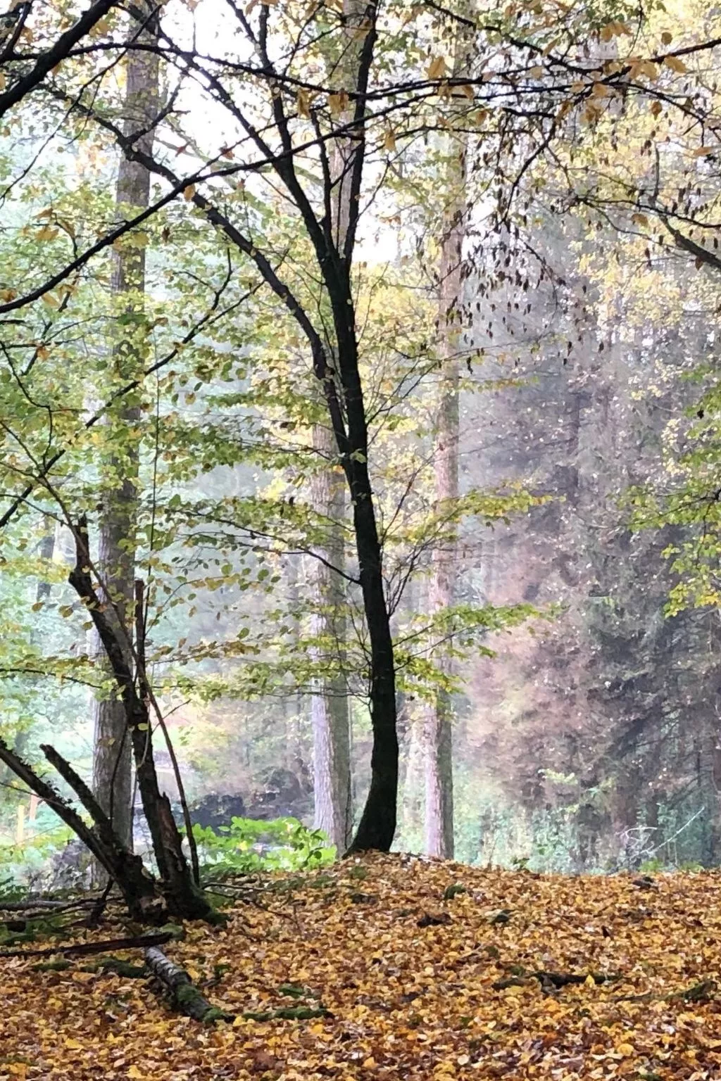 Gartenblick - Image-tags.info