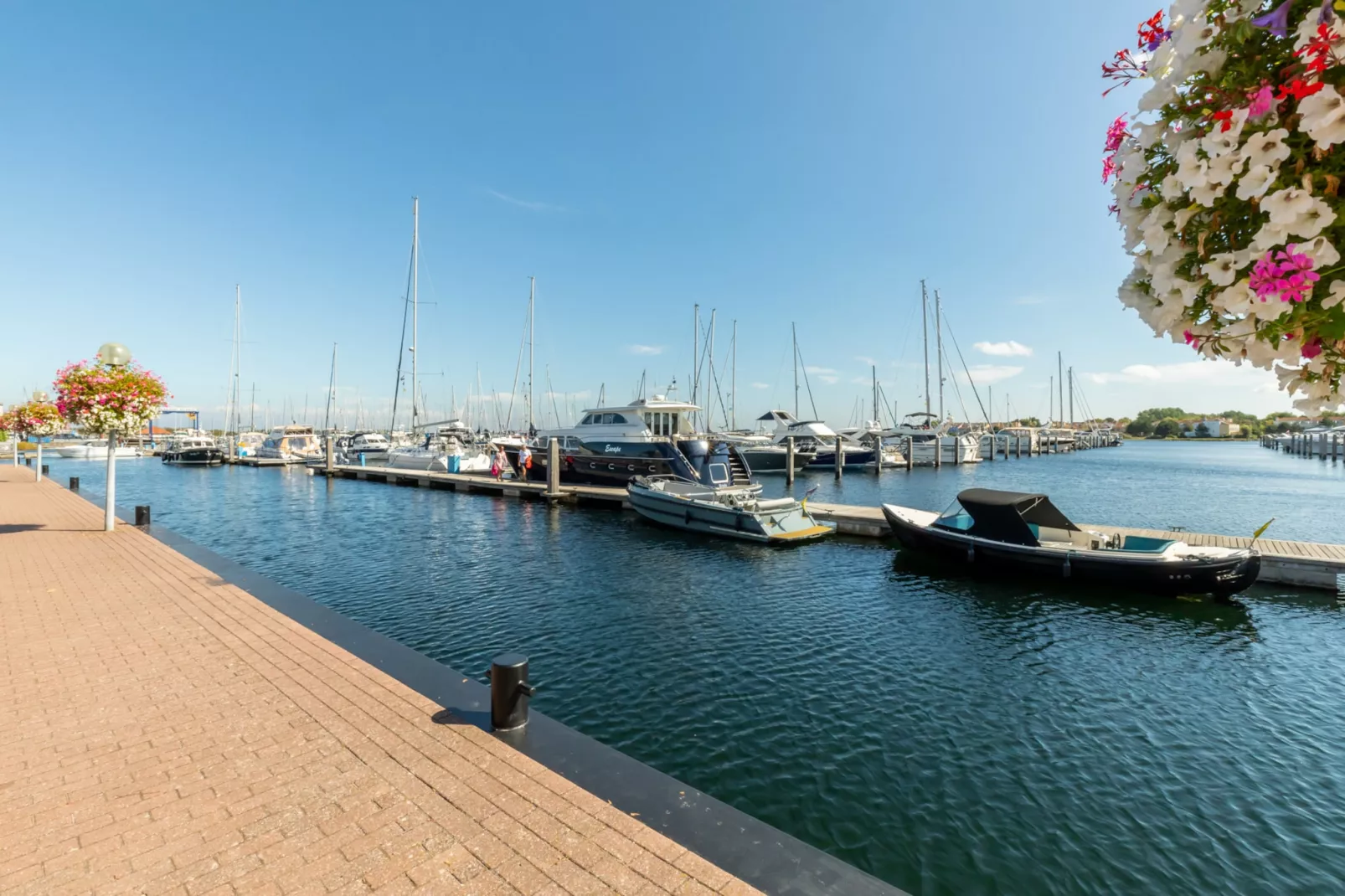 Zonnedorp 19 Modern holiday home Renesse | Beach within walking distance - Zones été à 1 km