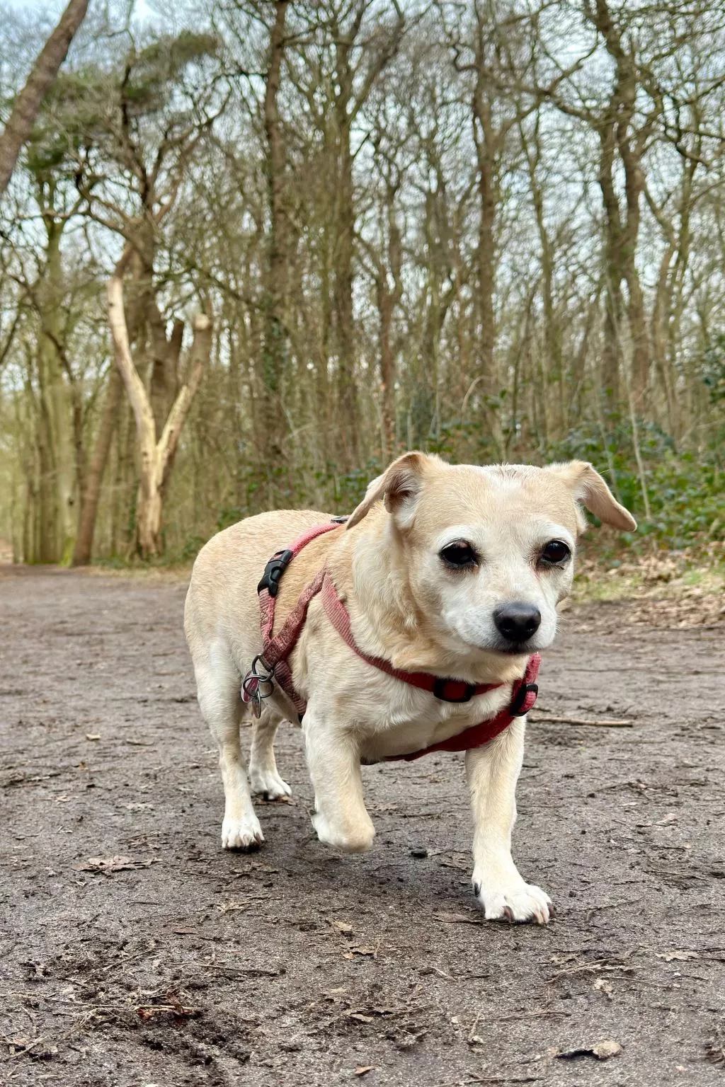 Rekerlanden 174 - Draußen