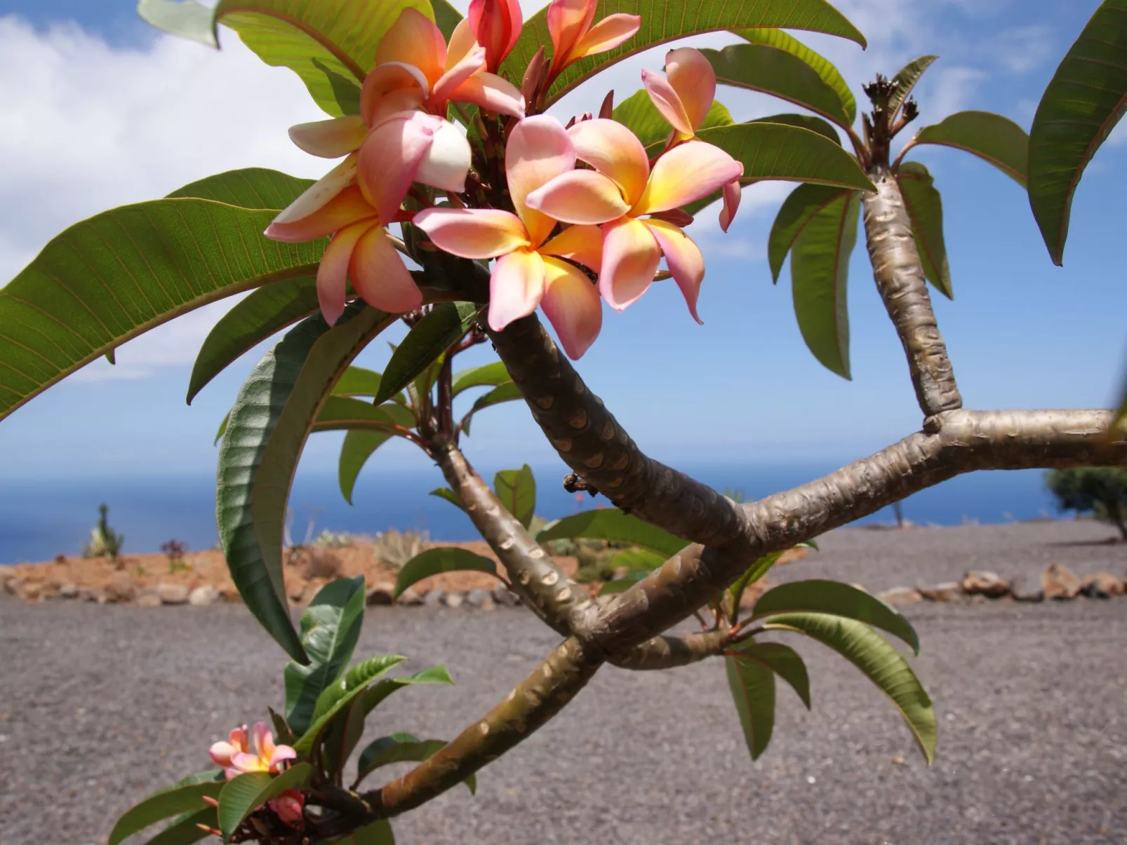 Romantische Ferienvilla mit Infinity-Pool und Panoramameerblick - Image-tags.info