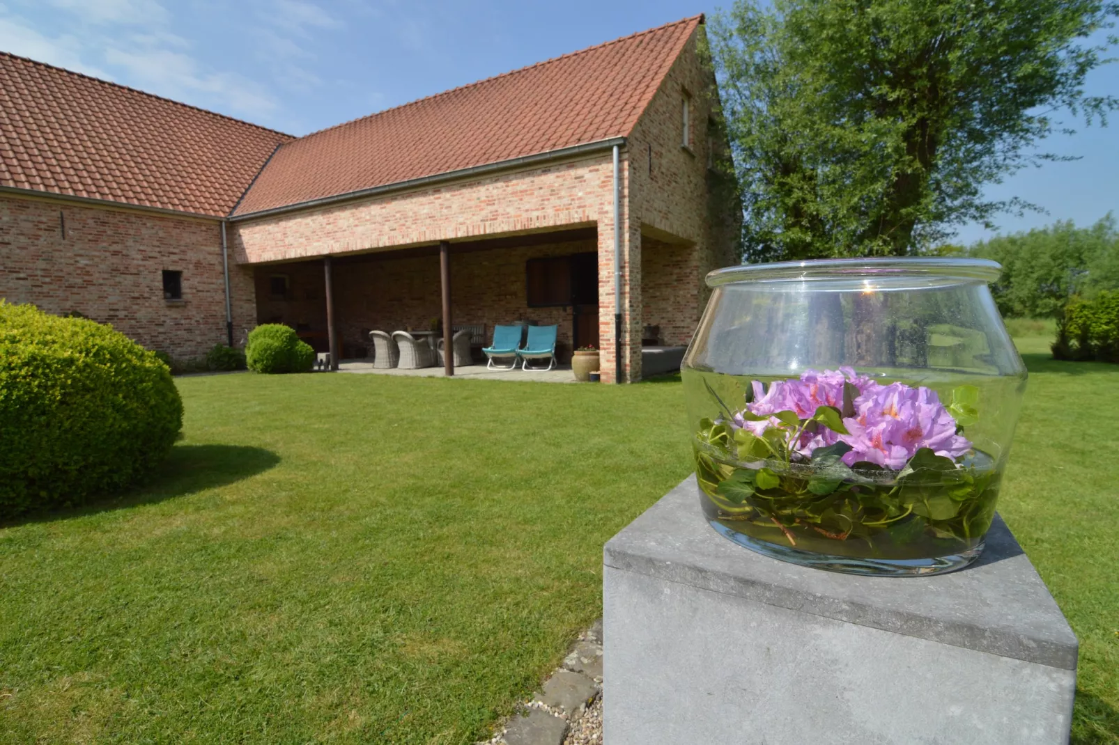 Ganzenweelde - Ambiente