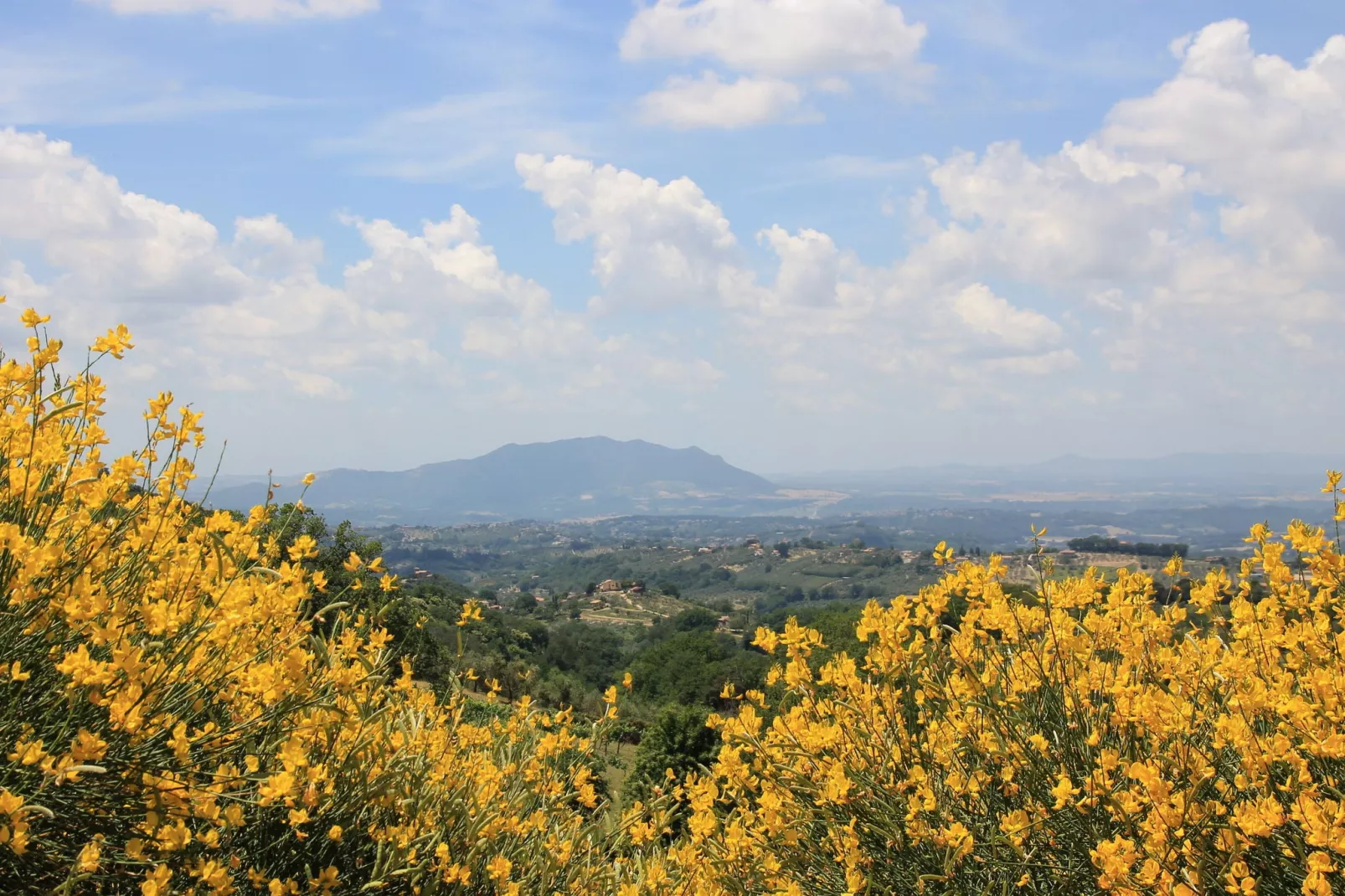 Arancio-Areas within 1km in summer