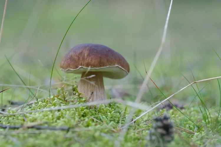 Holiday home Rekowo 120 qm - Zones été à 1 km