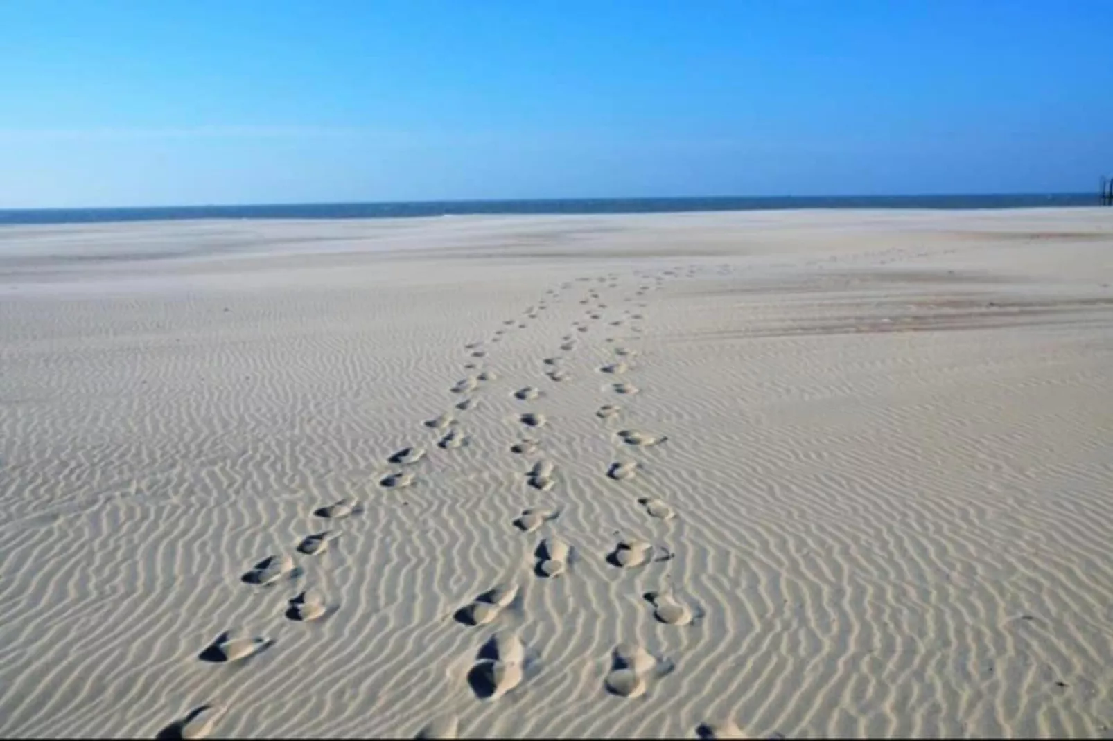 DE BRANDING 601-Zones été à 20 km