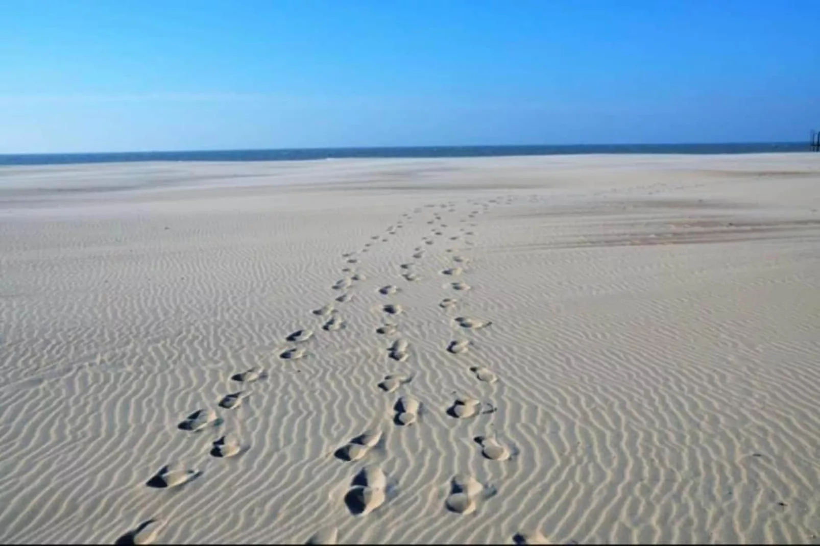 CASINO C-Zones été à 20 km