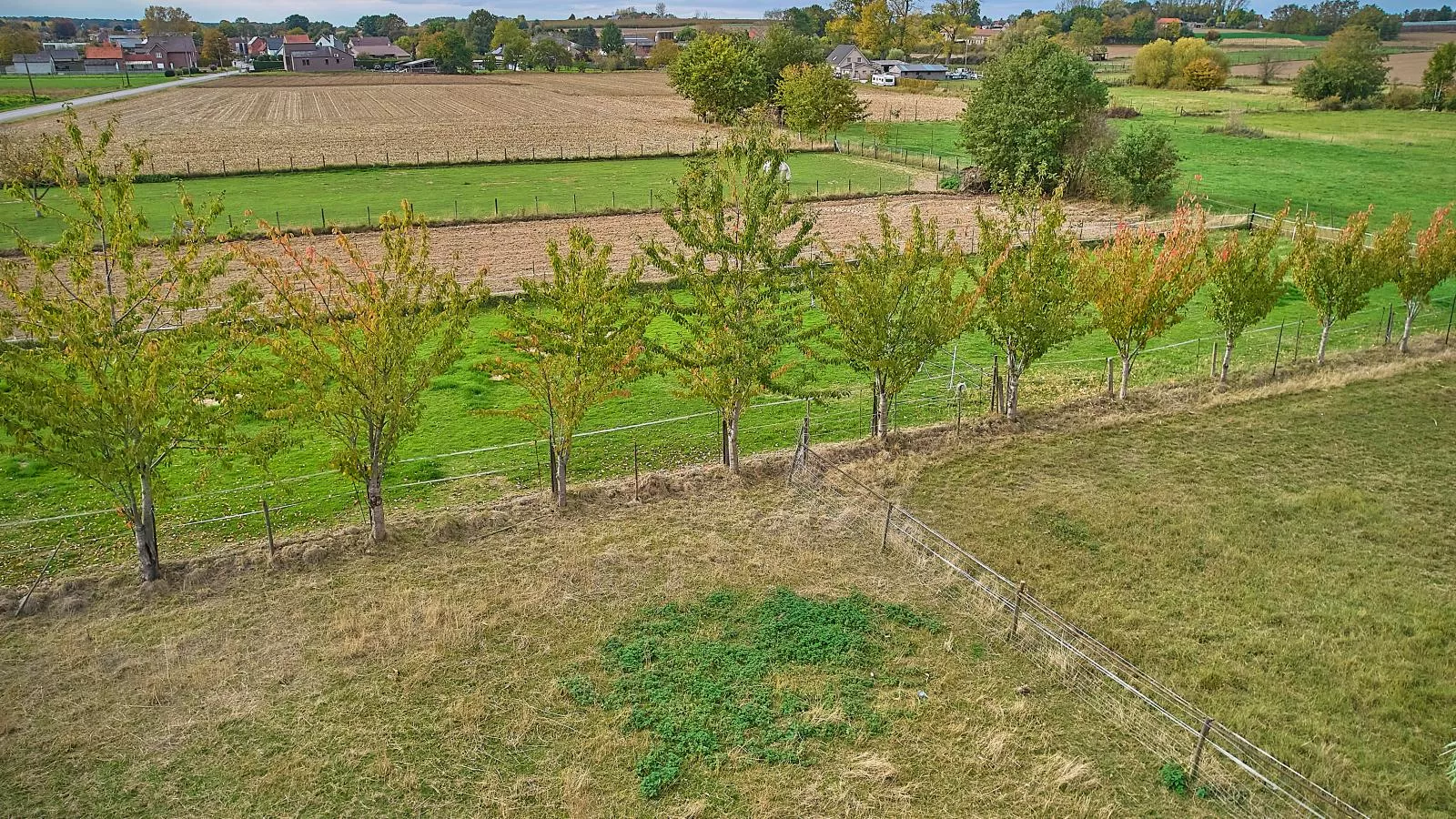 Quanto A  B-Garten Sommer