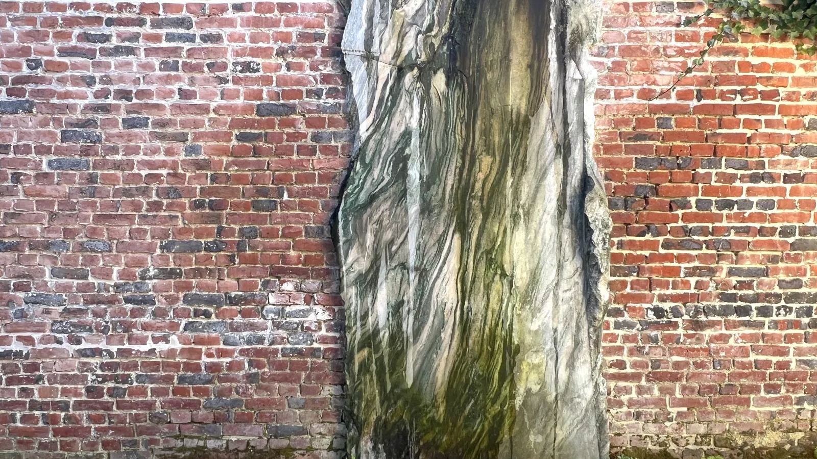 La Maison Bleue Ronse - Ambiente