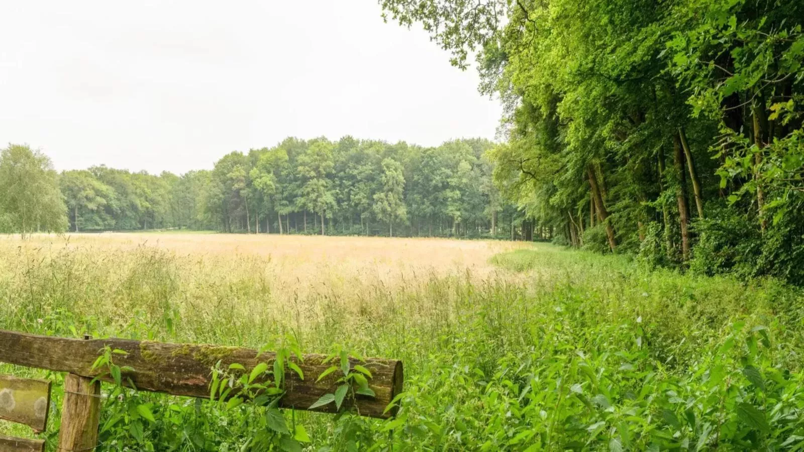 Wellnesshuisje Engelse Tuin-Zones été à 1 km